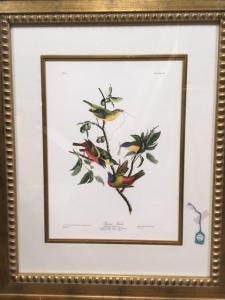 Audubon John James 1785-1851,Painted Finch (Plate LIII),Weschler's US 2018-03-20