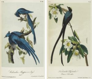 Audubon John James,The Birds of America, from Drawings made in the Un,Christie's 2007-11-14