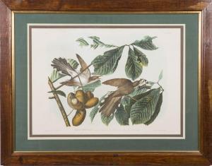Audubon John James 1785-1851,Yellow-Billed Cuckoo,Everard & Company US 2014-02-27