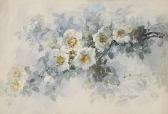 aulich Franz B 1900-1900,White Roses,Bonhams GB 2008-08-05