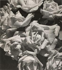 AURADON Pierre 1900-1988,Roses,1940,Yann Le Mouel FR 2022-12-14