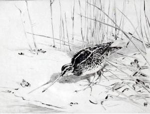 AUSTEN Winifred Mary Louise 1876-1964,A woodcock in snow at the water's edge,Bonhams GB 2011-04-05