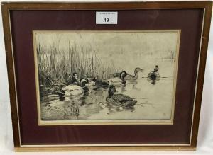 AUSTEN Winifred Mary Louise 1876-1964,ducks,Reeman Dansie GB 2023-08-28