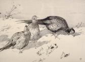 AUSTEN Winifred Mary Louise 1876-1964,Pheasants in the Snow,John Nicholson GB 2018-12-19
