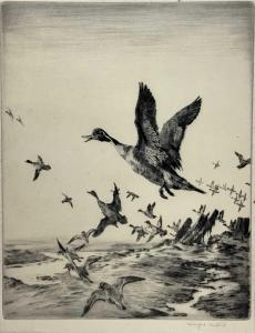 AUSTEN Winifred Mary Louise 1876-1964,wildfowl in flight,Reeman Dansie GB 2023-03-19