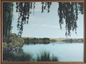 AVIATION Whites,Lake Tutira,1981,Webb's NZ 2023-01-31