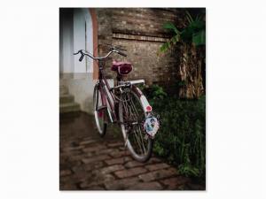 BÜHLER Hans Eduard 1893-1967,Bicycle,Van Ham DE 2017-06-28