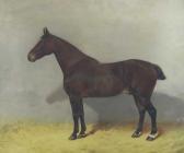 BABBAGE Frank 1858-1916,Equine Study Paddy 1873-1897,1897,Halls GB 2021-01-13