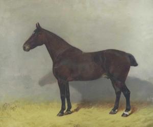 BABBAGE Frank 1858-1916,Equine Study Paddy 1873-1897,1897,Halls GB 2021-01-13