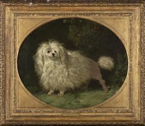 BACHELIER Jean Jacques,Ritratto di cane all'aperto,1765,Il Ponte Casa D'aste Srl 2022-03-01