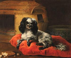 BACHELIER Jean Jacques 1724-1806,Ritratto di cane su cuscino rosso,Cambi IT 2022-06-15