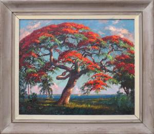 BACKUS Albert Edward 1906-1990,Brilliant blooming Royal Poinciana tree,CRN Auctions US 2016-06-26