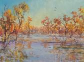 badcock david 1960,Outback Wetland, Lightning Ridge, NSW,Dunbar Sloane NZ 2014-05-14