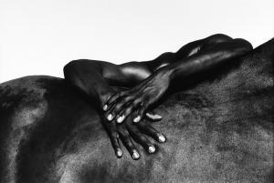 BADESSI LAURENT ELIE 1964,Hands and horse, Camargue, France,1994,Finarte IT 2020-12-17