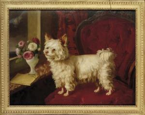 BAERT Herman 1942,A dog on a red velvet fauteuil,Christie's GB 2007-11-21