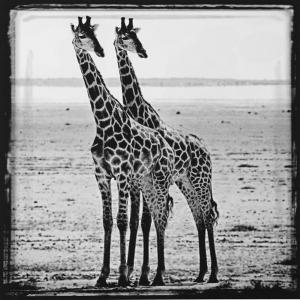 BAHEUX LAURENT 1970,Twin Towers,2010,Rago Arts and Auction Center US 2012-05-12