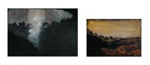BAHR Sarah,Deux peintures de la série Insolnie,2011,Cornette de Saint Cyr FR 2012-11-23