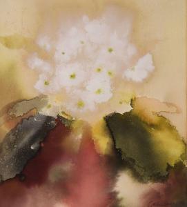 BAILEY Caroline 1953,WHITE PRIMULA,1986,De Veres Art Auctions IE 2023-01-25