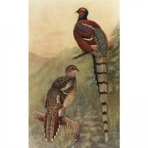 BAKER Edward Charles Stuart,THE GAME-BIRDS OF INDIA, BURMA AND CEYLON.,Sotheby's GB 2008-05-08