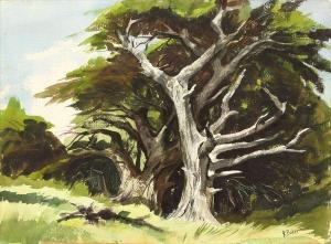 BAKER Ralph 1908-1976,Monterey Cypress,Clars Auction Gallery US 2010-11-07