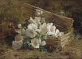 BAKHUIJZEN VAN DE SANDE Geraldine Jacoba 1826-1895,White azaleas and mimosas in a wicker,Christie's 2014-05-13