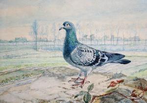 BALDAUF Jean 1853-1926,Pigeon on a bank with trees beyond, a pair,1925,Bonhams GB 2008-07-22
