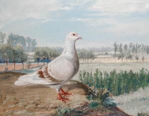 BALDAUF Jean 1853-1926,Pigeon perched on a bank with trees beyond,1909,Bonhams GB 2008-07-22