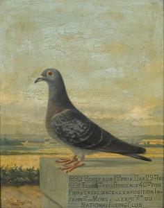 baldaus j 1800-1900,Portrait of a prize-winning pigeon,1892,Sotheby's GB 2008-01-15