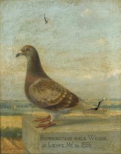 baldaus j 1800-1900,Prize-winning pigeons,1891,Sotheby's GB 2008-01-15