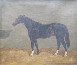 BALDOCK Charles Edward,Portrait of the chestnut hunter Timothy in a stabl,1911,Halls 2008-06-25