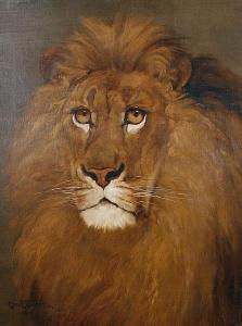 BALDOCK Charles Edward 1900-1900,Study of a lion,1919,Bonhams GB 2010-04-20