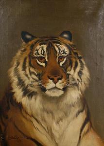 BALDOCK Charles Edward 1900-1900,Study of a tiger,1919,Bonhams GB 2010-04-20