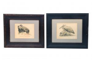 BALDWIN PRATT SAMUEL,Study of a Bear from the Zoo.  Zoo Study of a Bird,1925-26,Burchard 2020-04-19