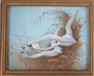 BALDWYN Charles Henry C 1859-1943,four swans in flight,Serrell Philip GB 2023-01-12