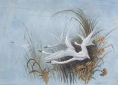 Baldwyn Charley,swans taking flight, the reeds heightened with gold,Fellows & Sons GB 2017-08-08