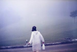BALTAR Brigida,A Coleta da Neblina,1998,Escritorio de Arte BR 2020-09-22