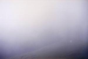 BALTAR Brigida,A Coleta da Neblina,1998,Escritorio de Arte BR 2020-09-22