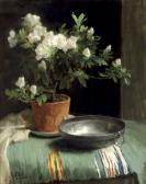 BALWÉ Constantia Arnola 1863-1954,Still life of a Azalea and a tin dish on a table,Glerum 2008-02-25
