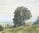 BAMBERGER Gustav 1861-1936,Oak trees on a slope,Palais Dorotheum AT 2017-09-27