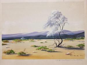 BANKS EULALIE,California Desert Smoke Tree,1974,Moore Allen & Innocent GB 2020-01-29