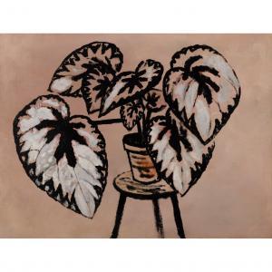 BANTING John 1902-1972,Still Life of Plant,Lyon & Turnbull GB 2023-10-27