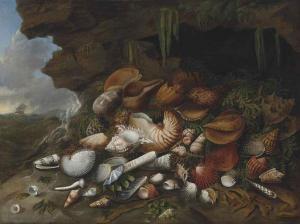 BARBUT James 1777-1786,Shells and coral on a rocky ledge on the seashore,,Christie's GB 2014-10-30