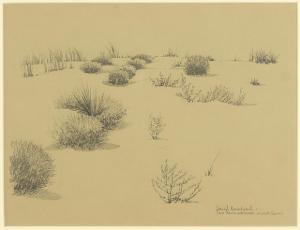 BAREFORD David 1947,Sage Brush And Dunes, Winkler County,Susanin's US 2019-04-18