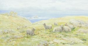BARKER G,sheep on a clifftop,Burstow and Hewett GB 2013-09-25