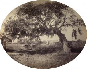 BARKER George 1844-1894,Old Slave Quarters. St. George Island,Swann Galleries US 2016-04-19