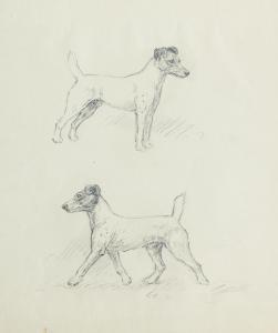 BARKER Kathleen Frances 1901-1963,Smooth Fox Terrier,Bonhams GB 2023-11-08