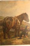 BARKER Wright 1864-1941,'Horse standing on Moorland w,Boldon GB 2008-01-09