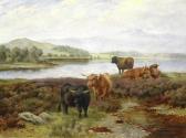 BARKER Wright 1864-1941,Highland cattle,Bonhams GB 2016-06-28