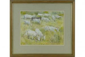 BARLOW Alan,a herd of goats in the Garrigue,Burstow and Hewett GB 2015-05-27