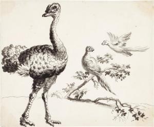BARLOW Francis 1626-1702,An ostrich and pheasants - Peacocks and other birds,Sotheby's GB 2021-07-08
